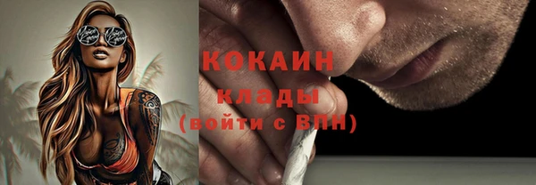 амф Алзамай