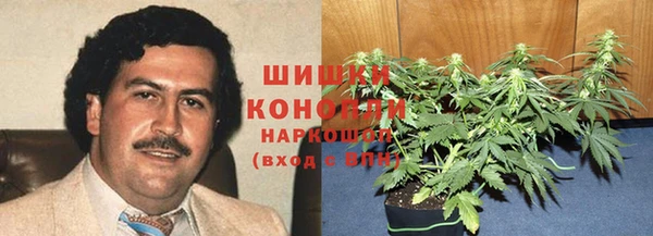 амф Алзамай